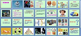 大脑课件PPT
