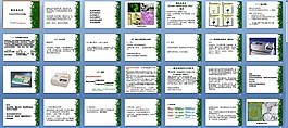 酶免疫技术2