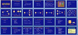 细胞因子测定及应用