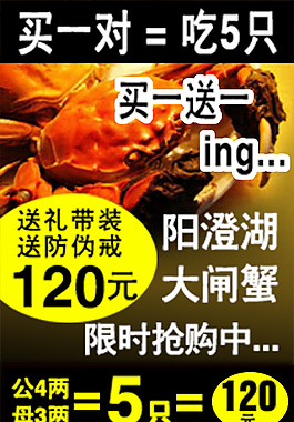 淘宝海鲜海参广告