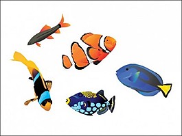 色彩斑斓的海洋鱼类插图