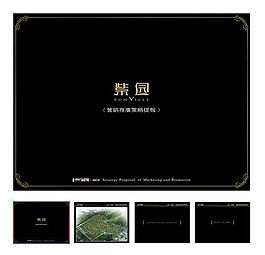 中原2007年上海紫园营销推广策略提报