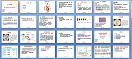大便常规免疫学检查及心肌标志物检查