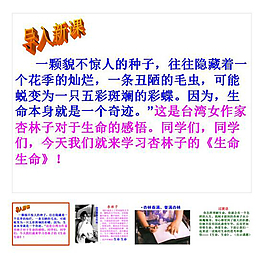 第19课 下册 《生命生命》
