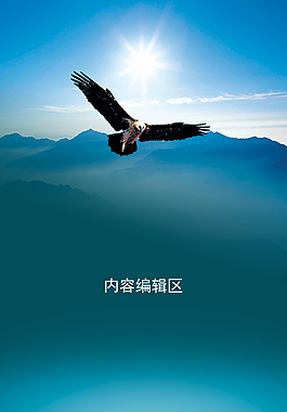 精美简约展架设计模板素材