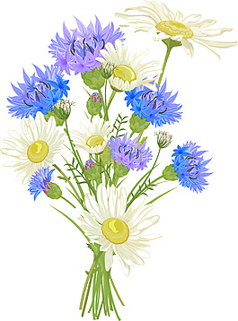 野菊花束