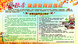 秋季健康教育宣传栏