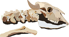 动物骸骨图片 动物骸骨素材 动物骸骨模板免费下载 六图网