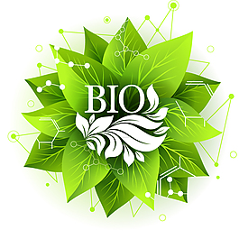 树叶,bio,生物,绿色,有机