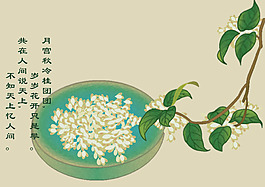 中国风中秋节桂花