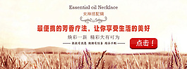 淘宝轮番页banner