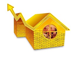 黄金屋 金房子