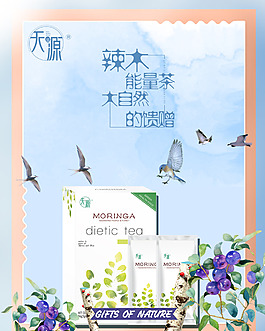 辣木宣传图