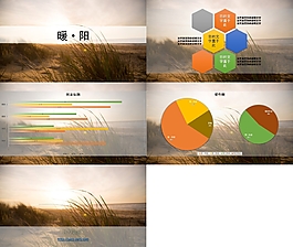暖阳全图风总结汇报PPT