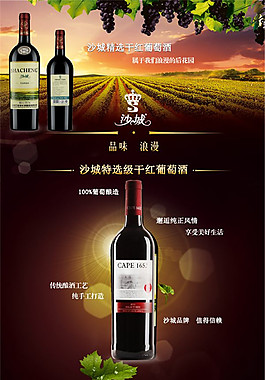 精选干红葡萄酒 酒水详情页PSD免费下载