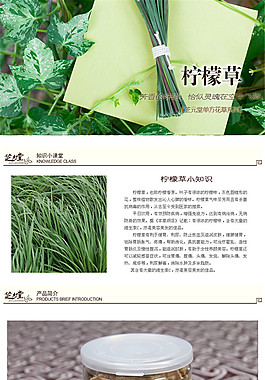 柠檬草茶详情页PSD免费下载