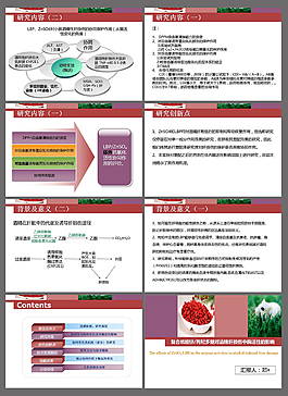 毕业设计开题报告