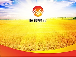 恒茂集团简介