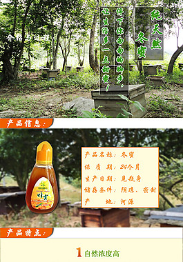 淘宝首页模版设计