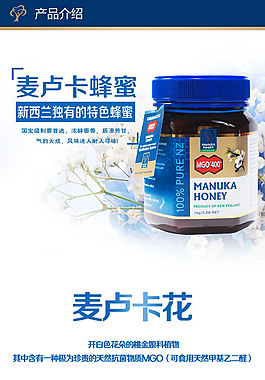 淘宝首页模版设计