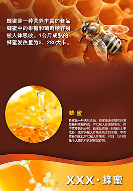 淘宝首页模版设计