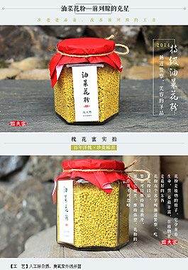 淘宝首页模版设计