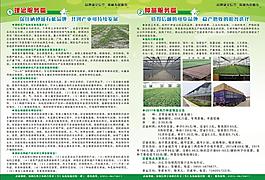 西瓜反