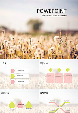 唯美淡雅蒲公英ios半透明效果ppt模板