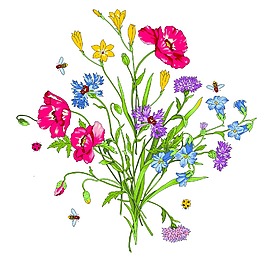 水彩花束图片 水彩花束素材 水彩花束模板免费下载 六图网