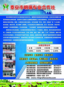 明瑞合作社宣传页A4双面