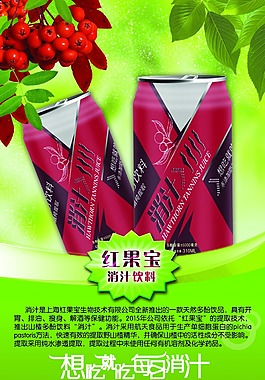 红果宝消汁饮料