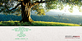 青春同学录模板