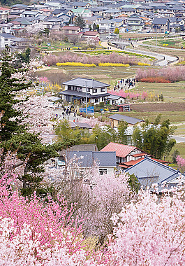 唯美樱花小山村