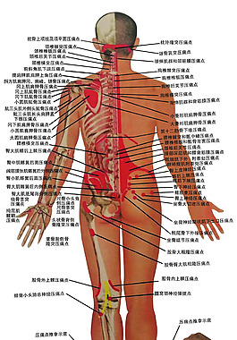9.25  刷刷瘦人体痛点图 60乘110 写真KT版 反面