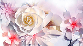 美丽的花朵图片