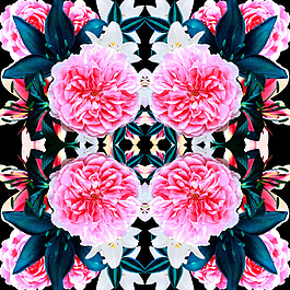 花卉