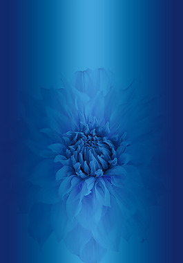 蓝色菊花图案背景展板设计