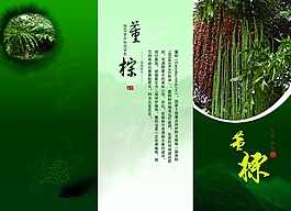 三折页