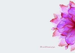 小清新花瓣本子