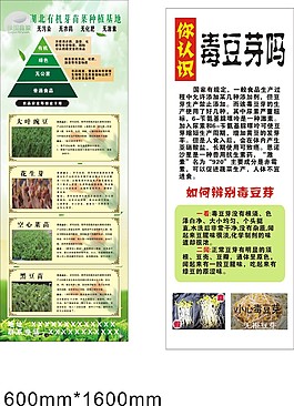 蔬菜种植基地X展架