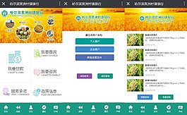 宾洲村镇银行手机端页面设计