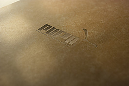 金色logo烫印样机