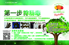 顿康