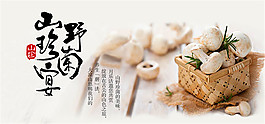 淘宝菌类海报