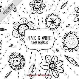 古典素描花卉背景