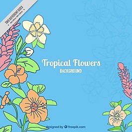 手绘花卉背景