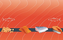 卡通三文鱼海报