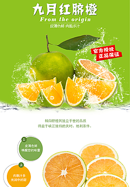 九月红海报详情设计