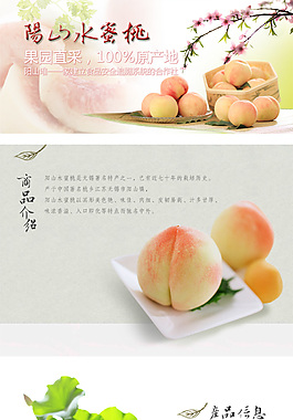 水蜜桃内页 - 修改 - 740