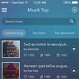 Muzik Top GUI界面